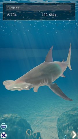 鲨鱼海洋（Shark） 1.1.0 安卓版