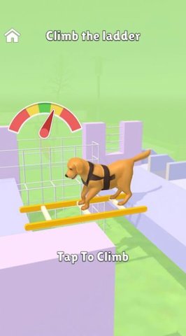狗子特训营(Hyper Dog Training) v1.0.1 安卓版