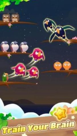 彩色鸟排序(Color Bird Sort) 1.0.3 安卓版