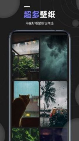 个性壁纸大全 v1.2 安卓版