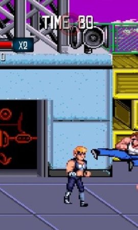 双截龙三部曲 1.6.5 安卓版