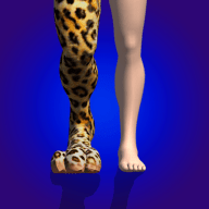 合并动物3D 1.0.9 安卓版