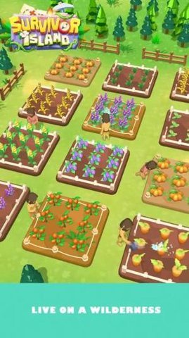 幸存者岛(Survivor Island) 1.0.2 安卓版