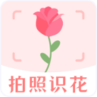 一键拍照识花 v3.0.0 安卓版