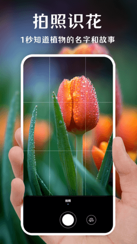 一键拍照识花 v3.0.0 安卓版