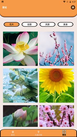 超能王国 v1.1 安卓版