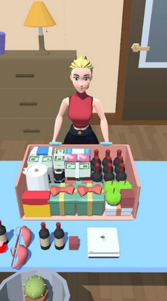 收纳达人3D v0.2 安卓版