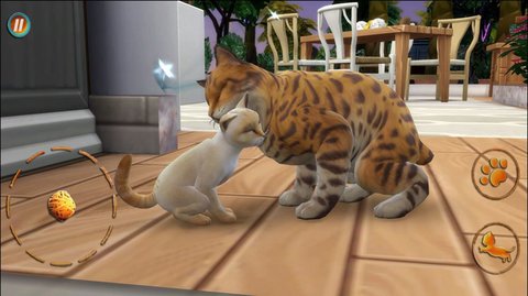 猫咪想恋爱 v300.1.0.3018 安卓版