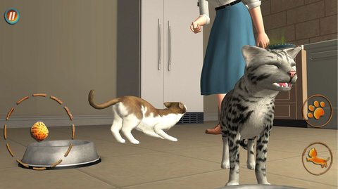 猫咪想恋爱 v300.1.0.3018 安卓版