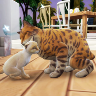 猫咪想恋爱 v300.1.0.3018 安卓版