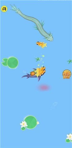 召唤小神龙 v1.00 安卓版