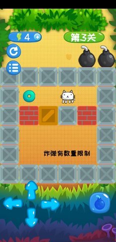 爆炸猫推箱子 v1.0 安卓版