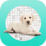 天天抠图神器 v1.1 安卓版