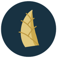 几枝 v3.7.3 安卓版