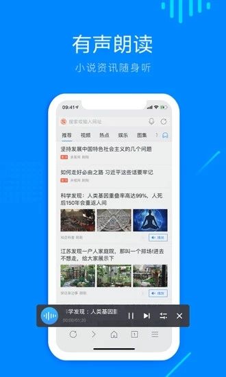 safari浏览器app