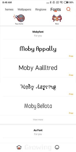 小米主题国际版