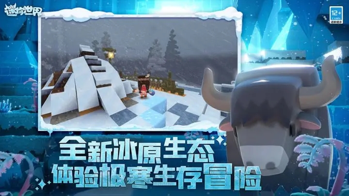 迷你世界国际服