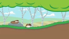 欢快的鸟儿 (Bouncy Birds)