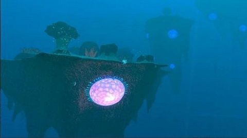 水下生存模拟(Underwater Survival)