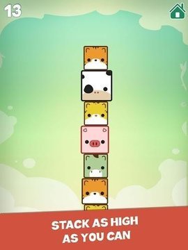 宠物方块 (Pet Cube)