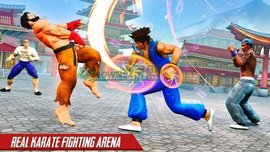 空手道男孩格斗（Karate fighting Stars: Kung Fu Master Wrestling 3D）