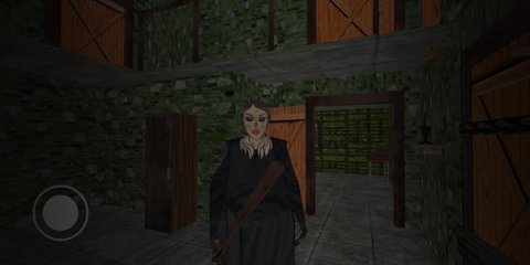 祖传房子的可怕奶奶（Grannye Anccestor）