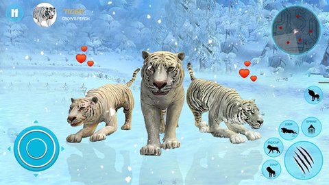 野生白虎家庭模拟（Wild Tiger Simulator Family Sim）