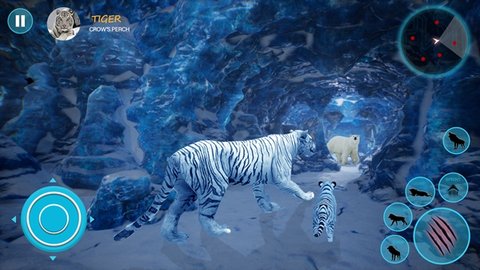 野生白虎家庭模拟（Wild Tiger Simulator Family Sim）