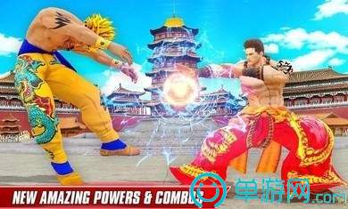 功夫格斗领域(Kung Fu Fighting)