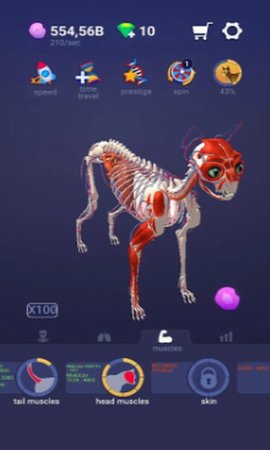 放置宠物（Idle Pet）