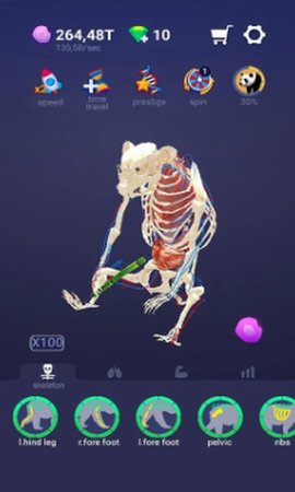 放置宠物（Idle Pet）