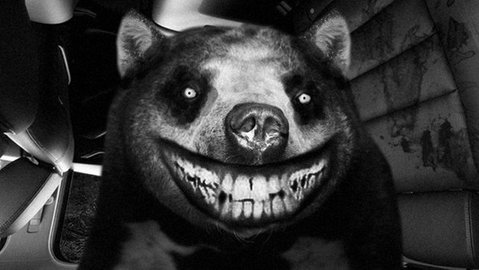 最黑暗的森林2(thedarkestwoods2)