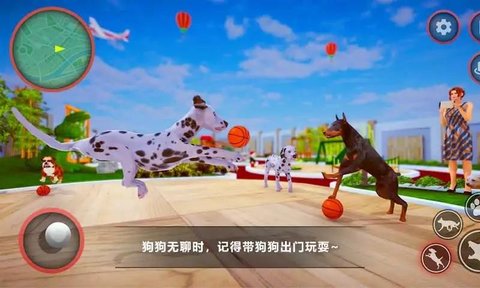 狗狗家庭陪伴(Curious Pet Dog Family)