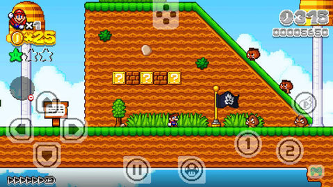 超级马里奥2D世界（SM2DW Deluxe）