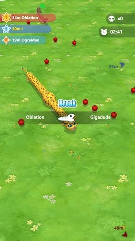 动物穿越（Animal Crossing）