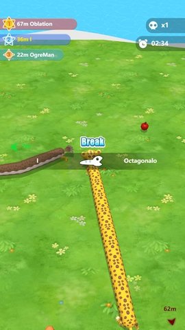 动物穿越（Animal Crossing）