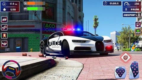 警车追逐停车（Police Chase）