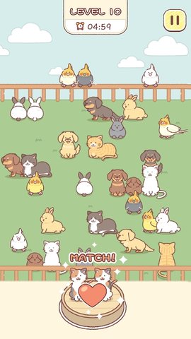 动物园匹配（zoomatch）