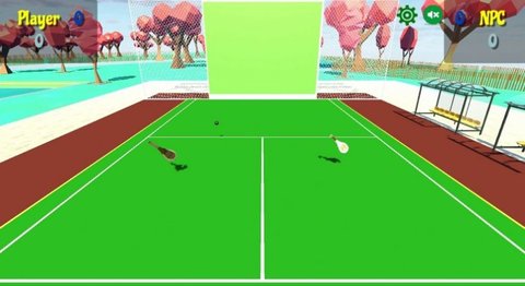 前墙球拍（Paleta Fronton）