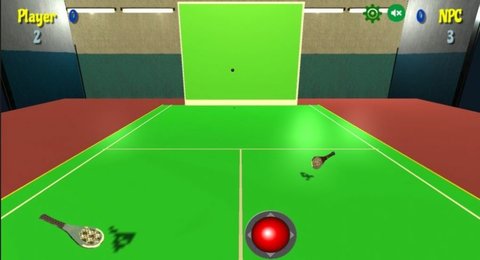 前墙球拍（Paleta Fronton）