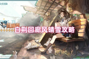 白荆回廊风晴雪攻略