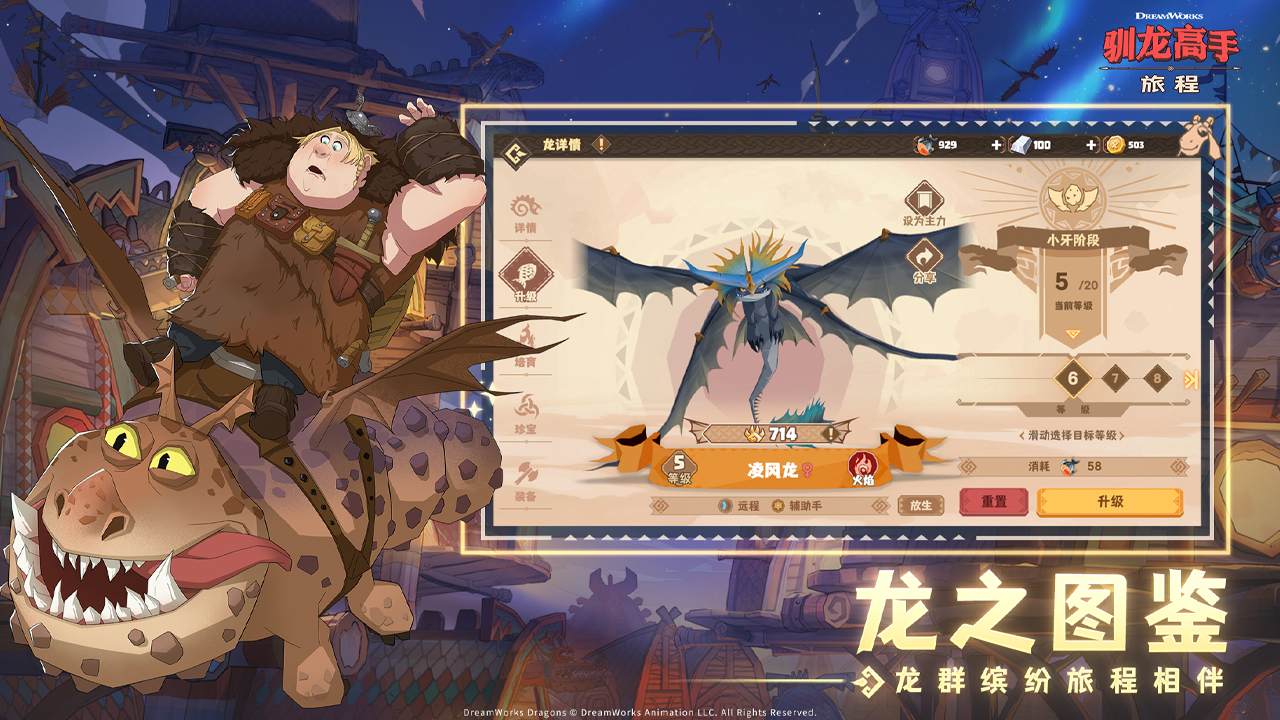 驯龙高手旅程