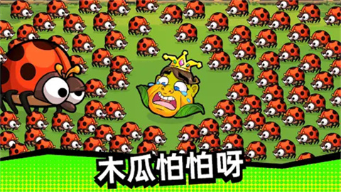 木瓜怕怕呀(Papaya Ouch!)