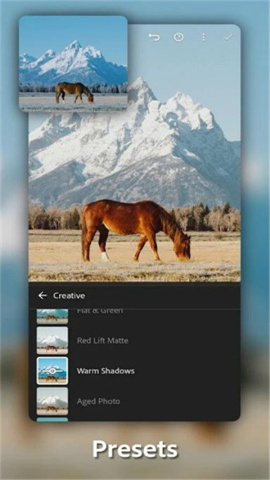 Lightroom解锁版 第1张图