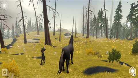 Wilderless 第8张图