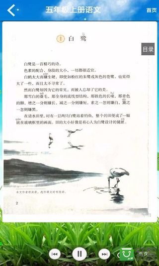 五年级语文上册