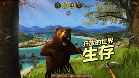 辐射岛（radiationisland）