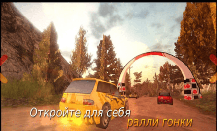 拉力赛车手(DIRT Rally Driver HD)