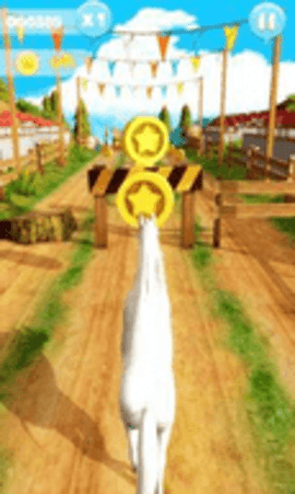 跑马场 （Horse Run）