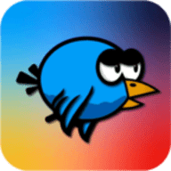 空中的飞鸟（Fly Way）